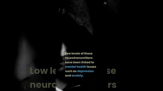 Neurotransmitters, What Do They Do? смотреть онлайн