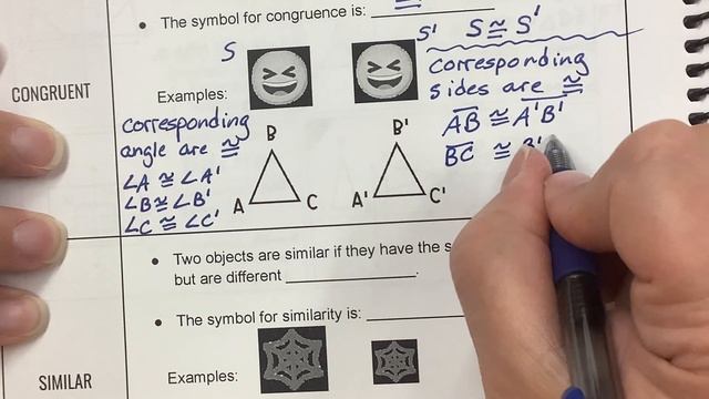 U6 L2 Congruent vs Similar Figures смотреть онлайн
