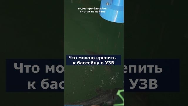 Что можно крепить к бассейну #система #узв #рыба #акварост #форель #осетр #бассейн смотреть онлайн