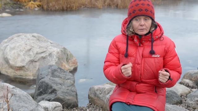 Lis Lindal Jørgensen on how the CBMP has helped improve benthos monitoring in the Arctic смотреть онлайн