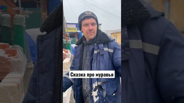 Сказка про муравья смотреть онлайн