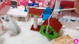 ХОМЯЧКИ СЧАСТЛИВЫ**МИНИ ДОМИК ДЛЯ ПИТОМЦА