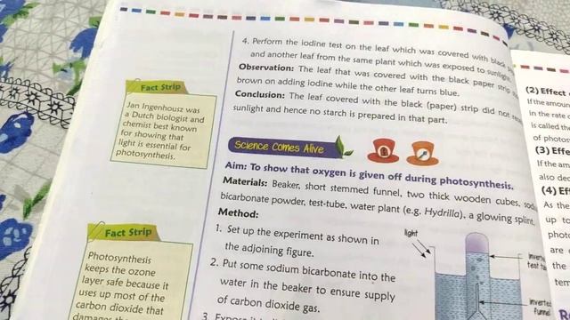 Book Review GENERAL SCIENCE CLASS 7 NINE HATS смотреть онлайн