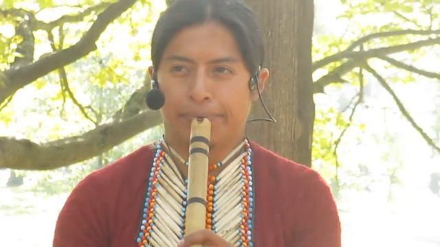 Pakarina 21.09.14 фрагменты