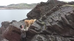 Тайные места Териберки. Столько форели я не видел никогда.