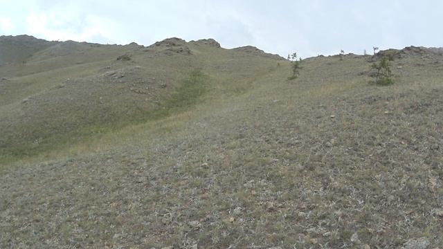 MAH00919 смотреть онлайн