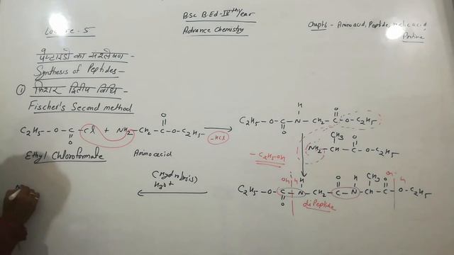 B.sc B. Ed 4th Yr chemistry chapt. 6 amino, peptide lect. 5peptide,types,method of formation смотреть онлайн