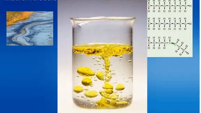 Lipids смотреть онлайн