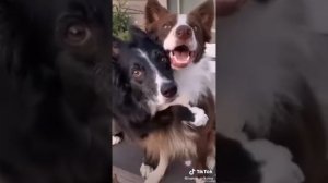 От улыбки хмурый день светлей))