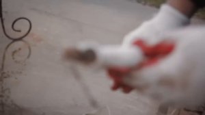 Обслуживание септика Топас своими руками. Пошаговое руководство.