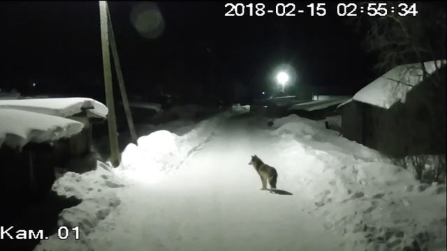 старые знакомые смотреть онлайн