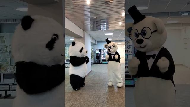 Пончик и Мишаня ☺ смотреть онлайн