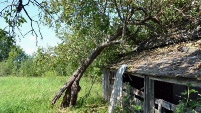 😱 Кошмары брянской глуши: домовые, ритуалы, легенды | П. Шушканов, "Другой Брянск", гл. 13–16 смотреть онлайн