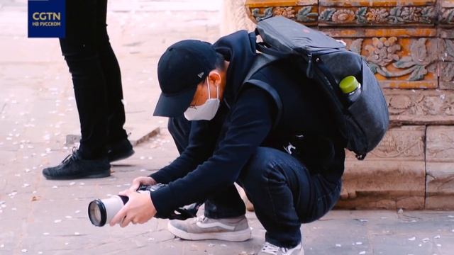 Любимец посетителей Запретного города смотреть онлайн