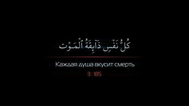 Абу Сайфуллах1 Шишани смотреть онлайн