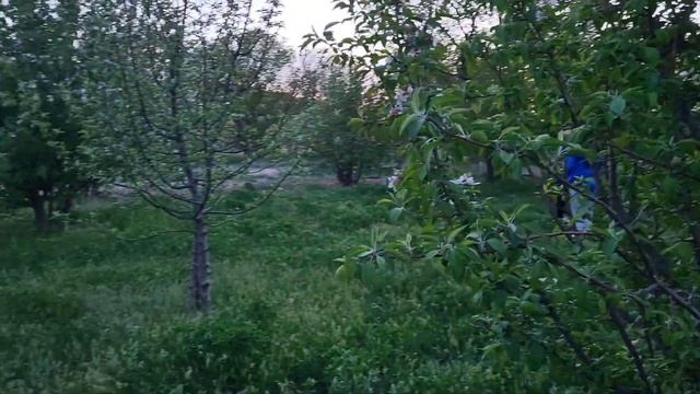 «Жасыл желек» зерделеу-жобалау номинациясы «Жармыш жалпы білім беретін мектеп» КММ Ж: Әлібекова М смотреть онлайн