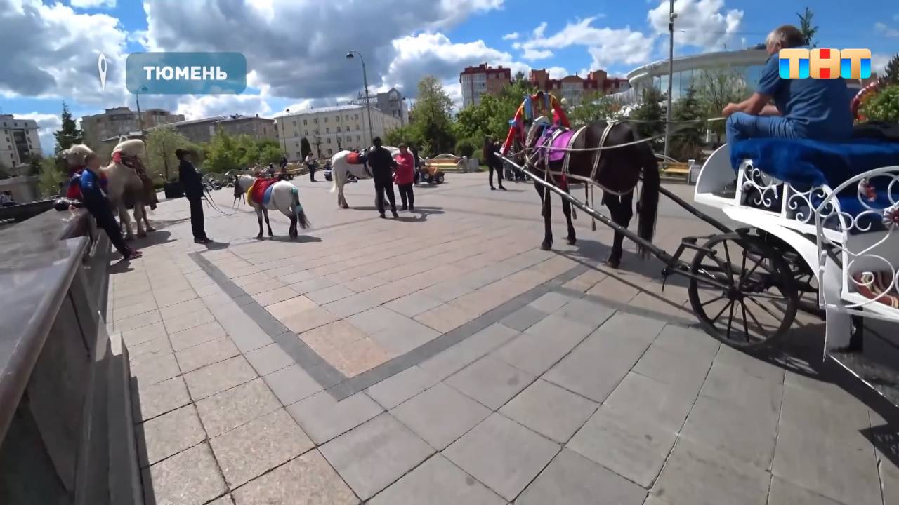 Лучшие российские города для переезда смотреть онлайн
