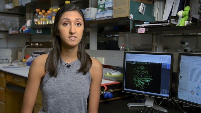 Deep-sea Bacteria Could Help Neutralize Greenhouse Gas