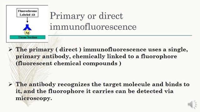 Antigen-Antibody reactions :Immunofluorescence смотреть онлайн