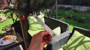 Отзыв от Екатерины 3