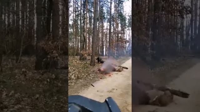 У польско курва впердоле! смотреть онлайн