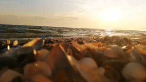 #Zaz - Eblouie par la nuit. #ПЕРЕВОД на русский (je veux)