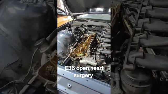Find out what's going on with my Vert project on my next video! #E36 #DIY смотреть онлайн