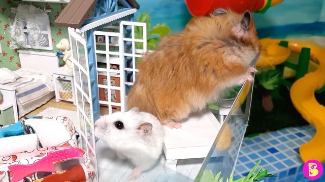 ПРОЖАРКА ОТЕЛЯ с ХОМЯЧКАМИ** НЕ ТАКОЙ УЖ ОН И ПОТРЯСАЮЩИЙ** ХОМЯЧКИ НА МОРЕ 2 смотреть онлайн