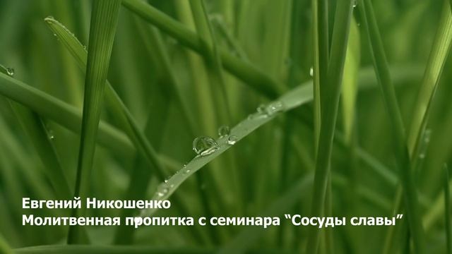 Молитвенная пропитка 4 - Евгений Никошенко (с семинара "Сосуды славы") смотреть онлайн