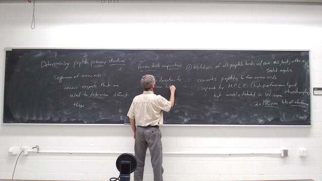 Isoelectric point and amino acid composition with derivatives смотреть онлайн