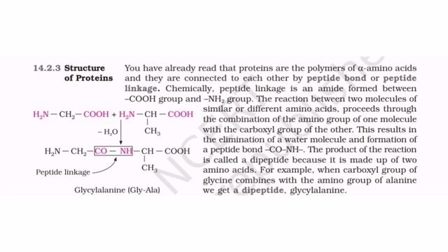 Environmental Science/ Biomolecules/ Protein/ Amino acids/ JSA class 21 @EagerBeaver4PSC смотреть онлайн