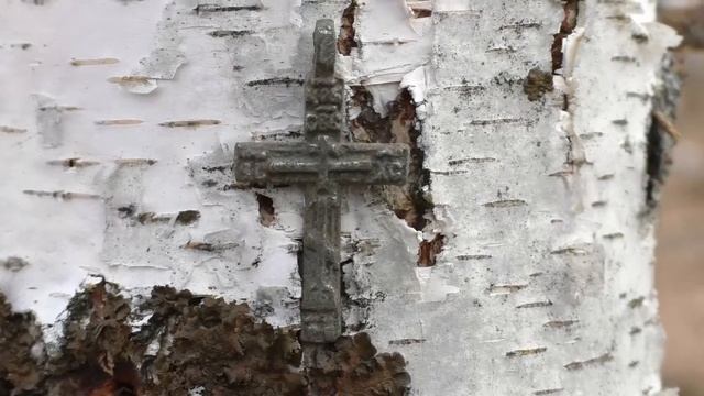 Крест на берёзе. Cross on a birch. Kreuz auf einer Birke. 在樺樹上交叉。 смотреть онлайн