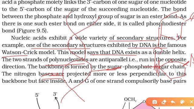 Nature of bonds linking monomers in a polymer shivani ss смотреть онлайн