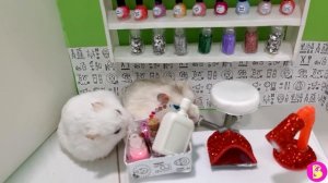 ХОМЯЧКИ В САЛОНЕ КРАСОТЫ*** МИНИ ПАРИКМАХЕРСКАЯ