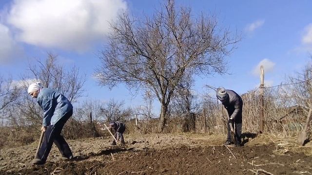 Конец марта, а мы уже копаем огород. смотреть онлайн