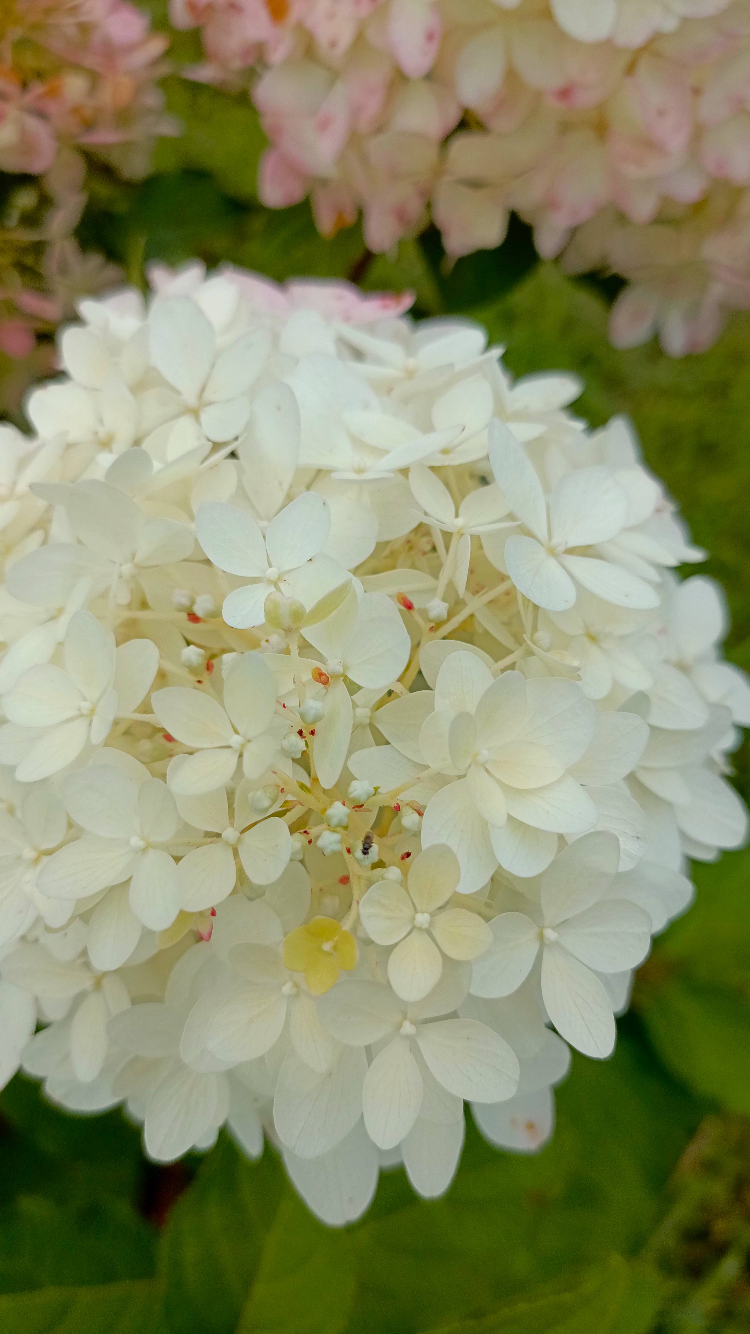 Красота вокруг нас . Своими руками . смотреть онлайн