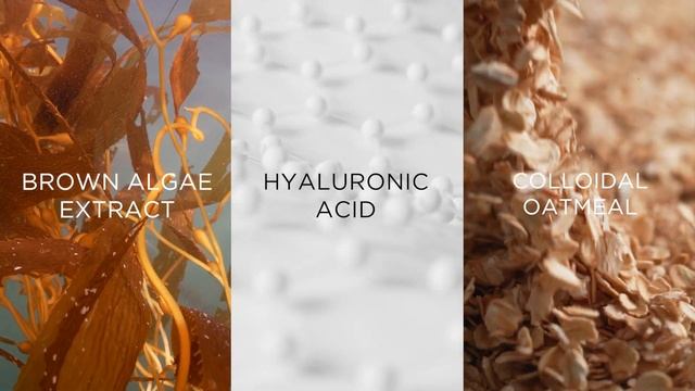 Meet our NEW plant-powered Hydration Heroes! 💧 #Kimirica #NewLaunch смотреть онлайн