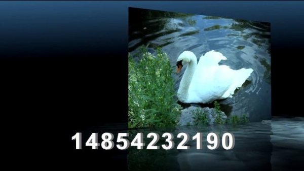 03 Универсальная система 14854232190