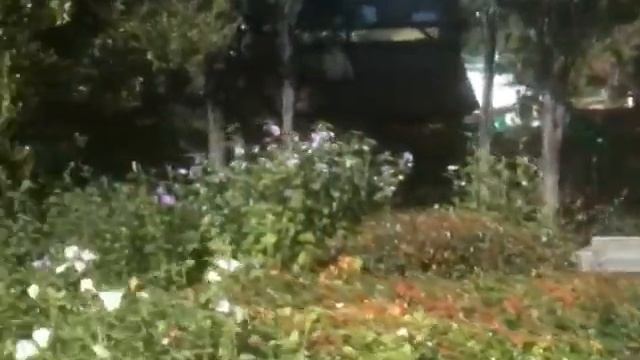10 октября ,в Ялте +21, Отель в Ялте Отдых в Крыму #отдых в крыму смотреть онлайн