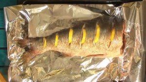 Толстолобик в фольге