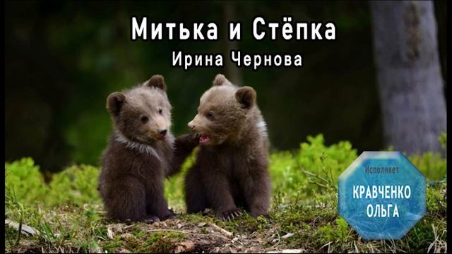 Митька и Стёпка. Ирина Чернова / Аудиорассказ смотреть онлайн