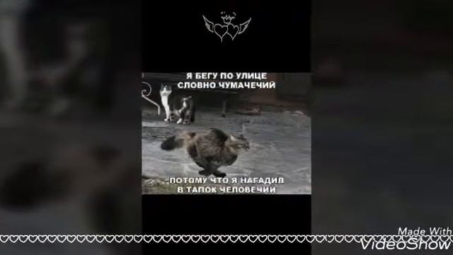 Сборка мемов #2 смотреть онлайн