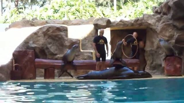 MOV01259 смотреть онлайн