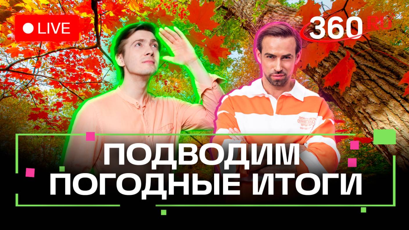 Синичкин день, похвала от Деда Мороза, когда придет снег? Прогноз погоды. Стрим смотреть онлайн
