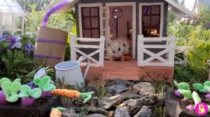 ЛЕТНИЕ ИСТОРИИ ХОМЯЧКОВ** МИНИ ОГОРОДИК** КТО СПАЛ В ТУАЛЕТЕ?