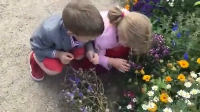 Юные ботаники! смотреть онлайн