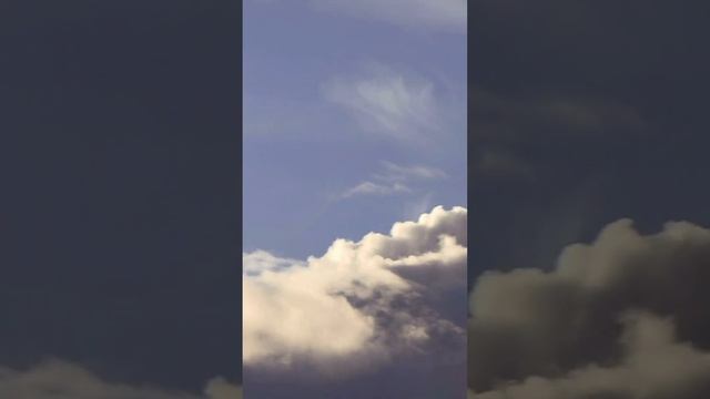 INSIGHT FROM PROVERBS #christianity#bible#preaching#teaching смотреть онлайн