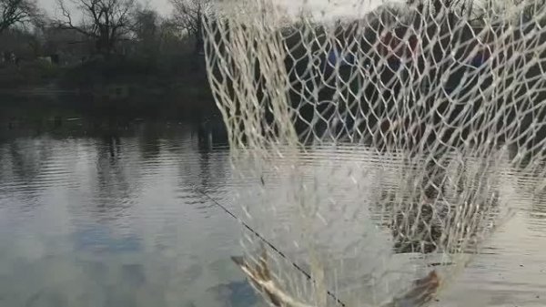 НОВОЕ МЕСТО 2-й день, 11 ноября.