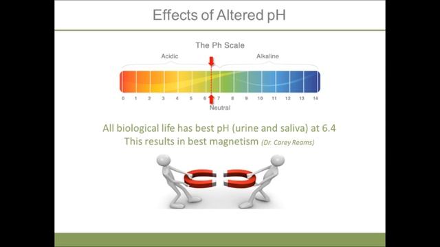 Why is total body pH so important? смотреть онлайн