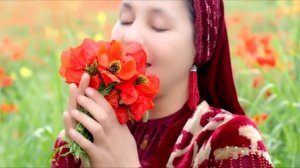 Nargiza Azimova - Armonim